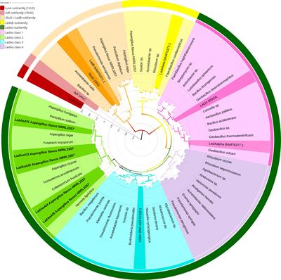 Identification of long-chain alkane-degrading (LadA) monooxygenases in Aspergillus flavus via in silico analysis